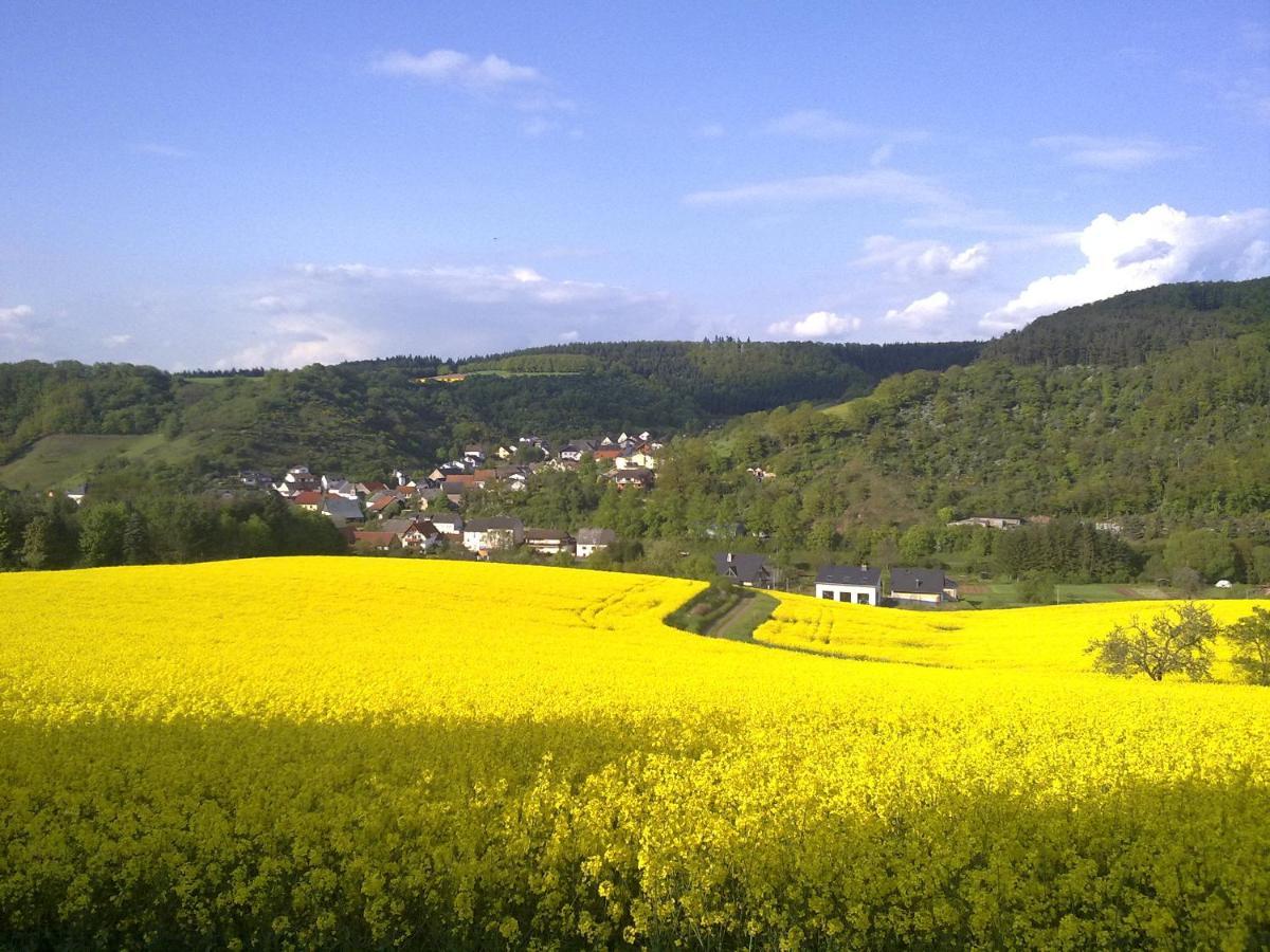 Ferienwohnungen Naheliebe Im Hunsrueck & Naheland Bärenbach Zewnętrze zdjęcie